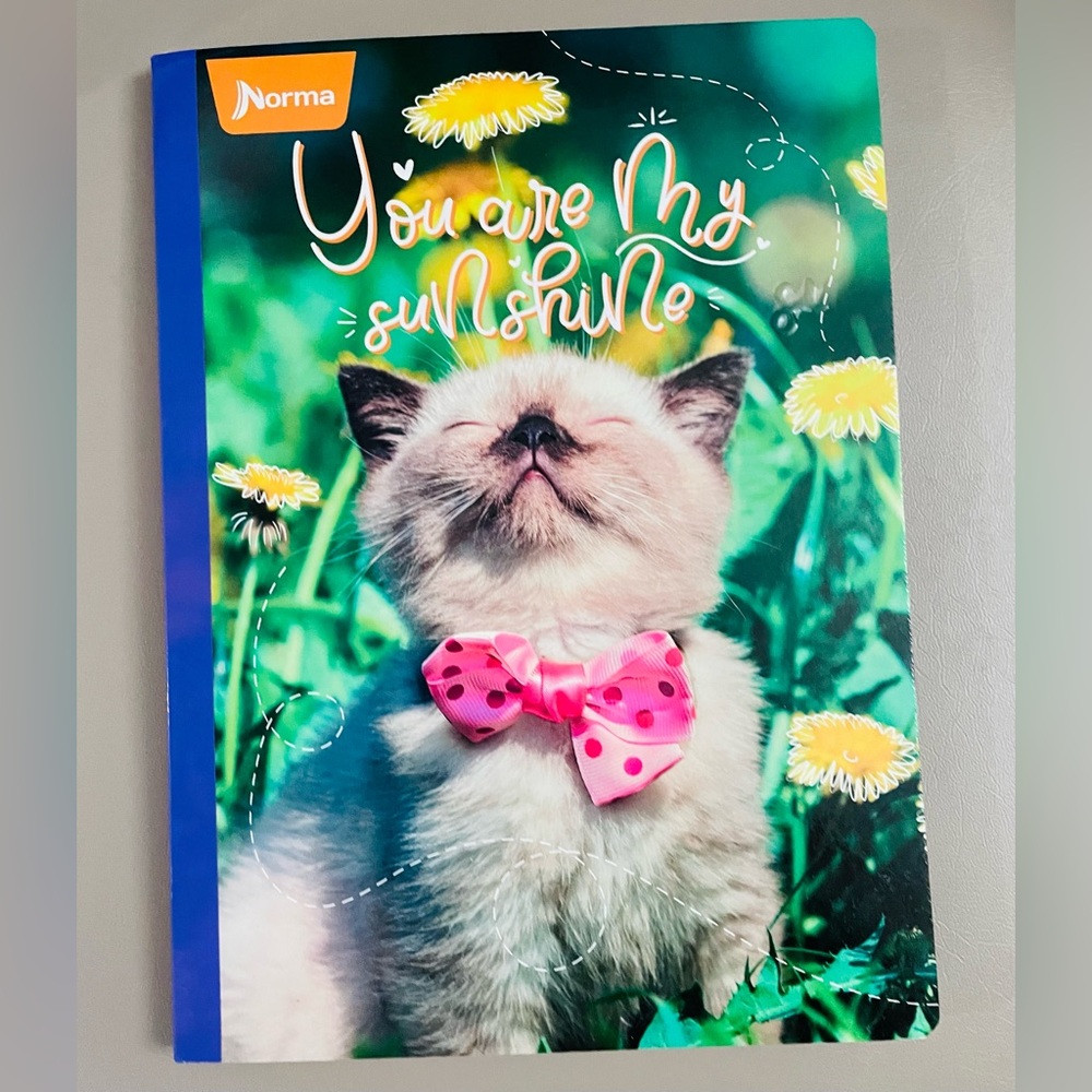 cat Notebook with Pink Bow